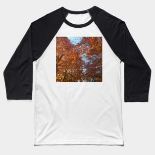 Fall leaves in the sun Baseball T-Shirt